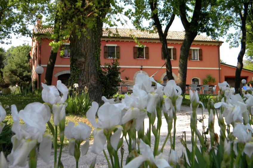 Lella - foto 39