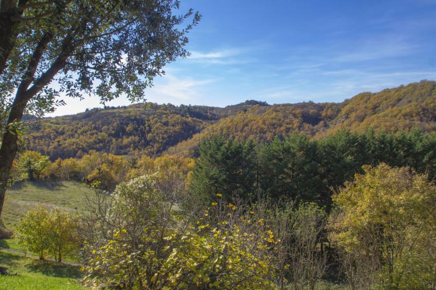 Il Frassino del Borgo di Ghiora - foto 45