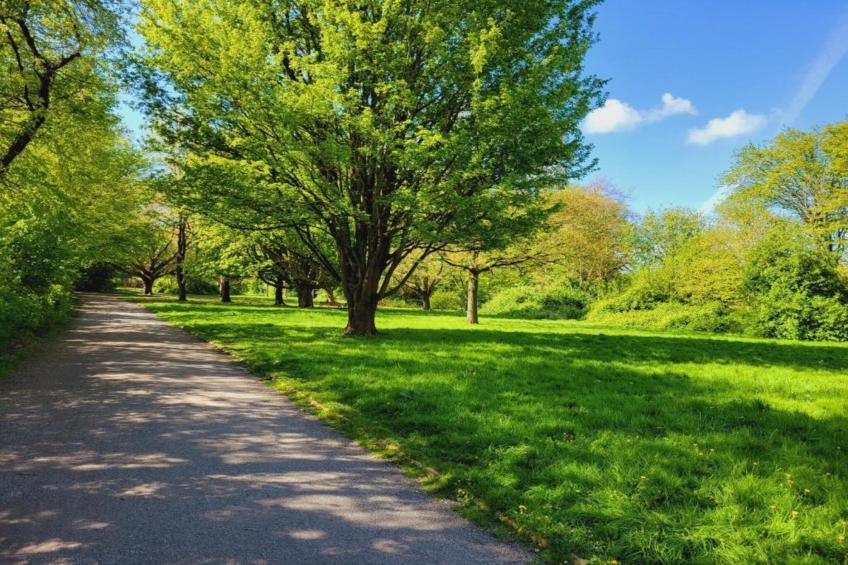 Ferienwohnung Der Anker - foto 27