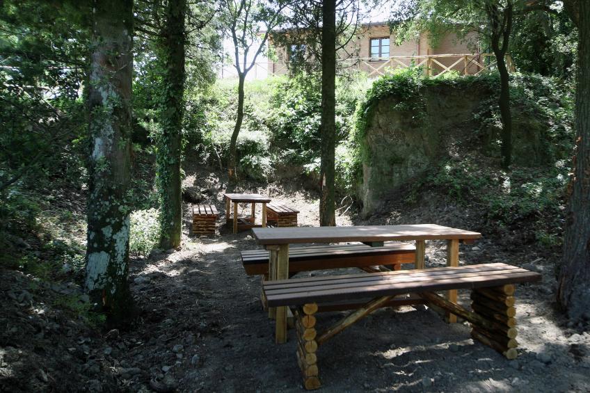 Vignente - foto 25