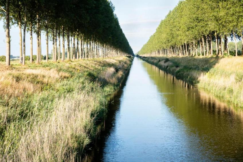 De Biezenpolder - foto 36