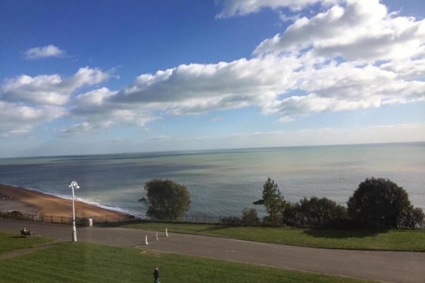 Golden Swan House - foto 35