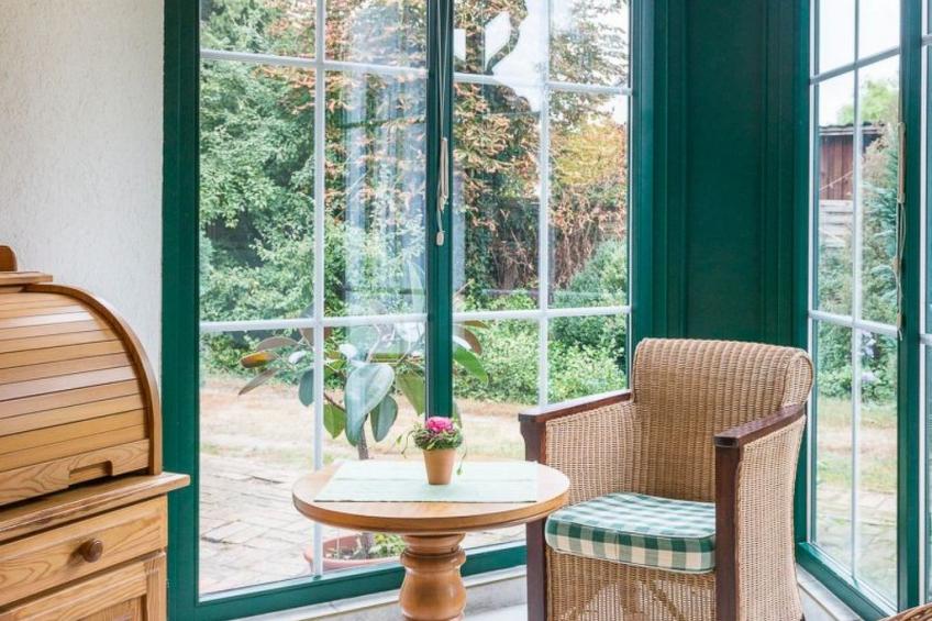 Löwenzahn mit Holu - foto 7