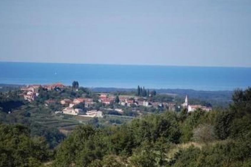 Villa Casa Sarina - foto 4