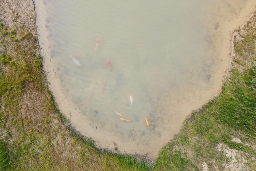 "Malinda" - 500m from the sea in SE Jutland - foto 8