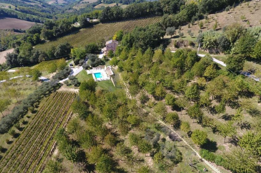 Casa Sacciofa in Monte Rinaldo - foto 24