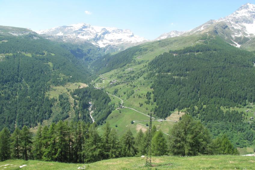 Le Betulle - foto 29