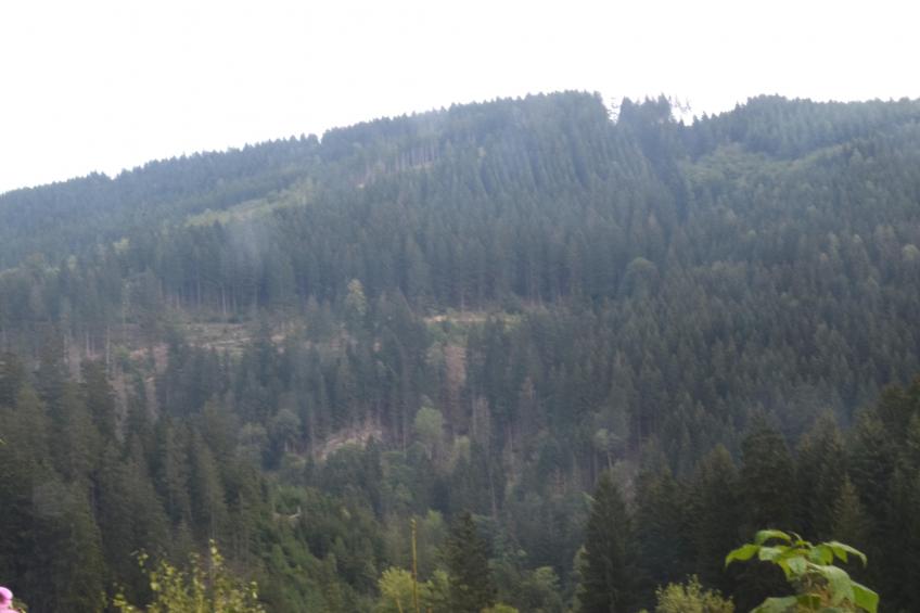 Ferienwohnung Veranda in Harz Wildemann - foto 34