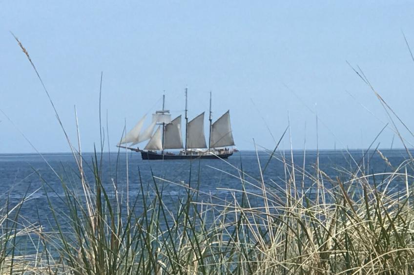 hygge hus, tolle Ostseelage, freier Blick auf Felder - foto 25