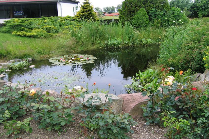 Leuchtturm XL - foto 16