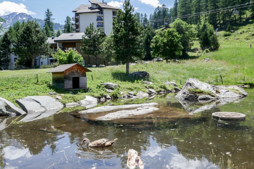 Mont-Fort 70 - foto 26