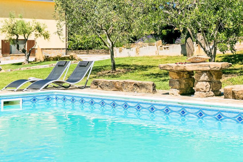 Margherita - foto 17