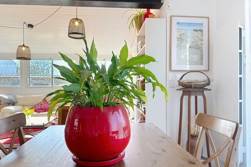 Les Rainettes - foto 9