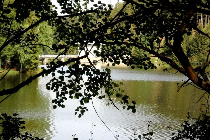 278204 - foto 14