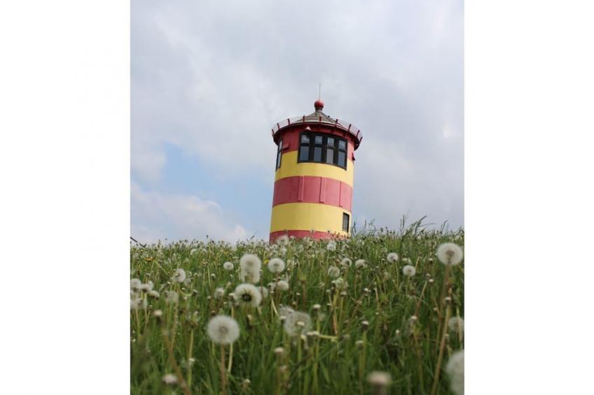 229661 - foto 22