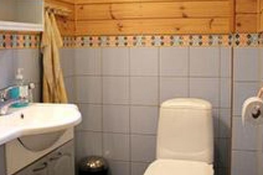 Lokki - foto 15
