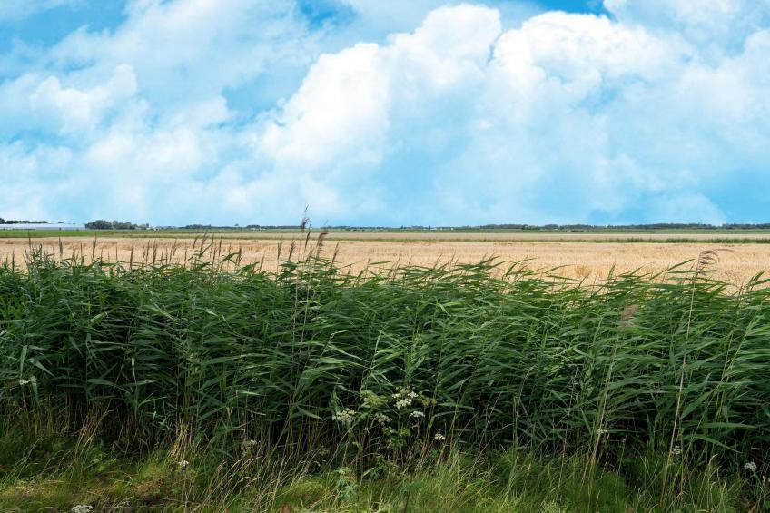 Buitenplaats R25 - foto 38