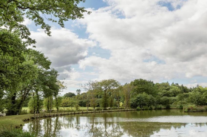 La Ville-Hervé - foto 37