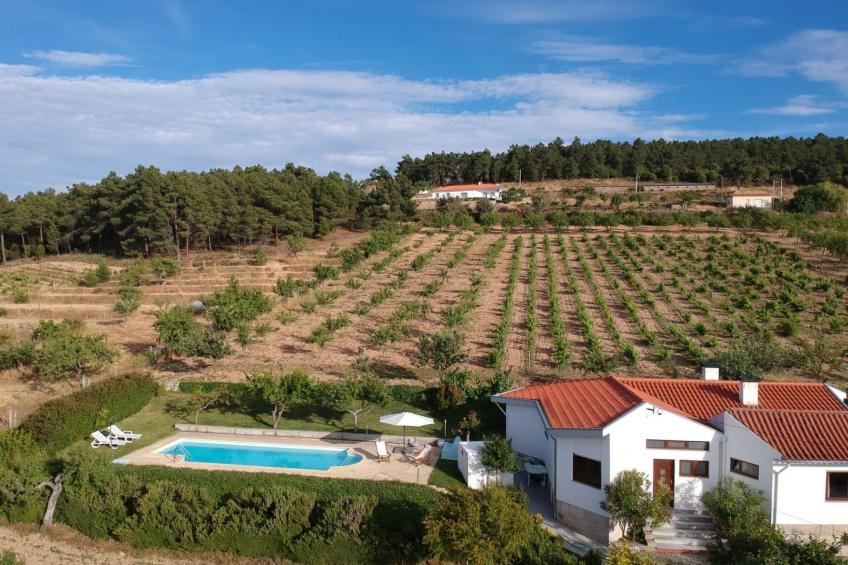 Träumende Aussichten im Douro - foto 36