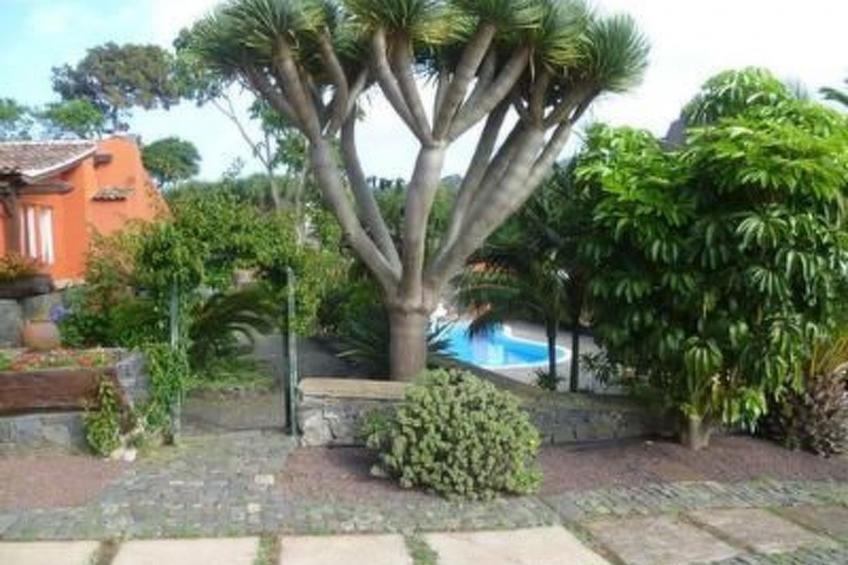 Finca Los Vinedos - foto 13