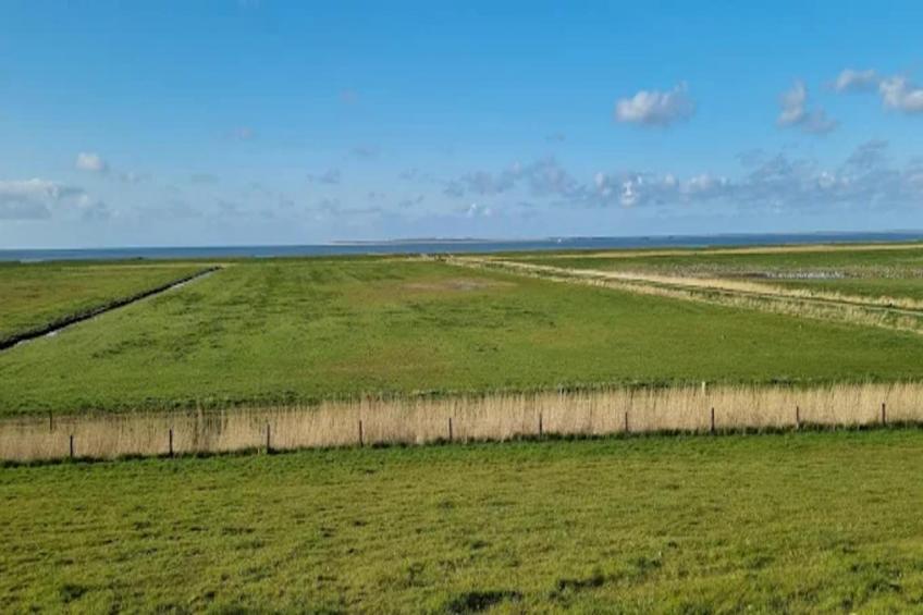 Bungalow, Dornumersiel - foto 38