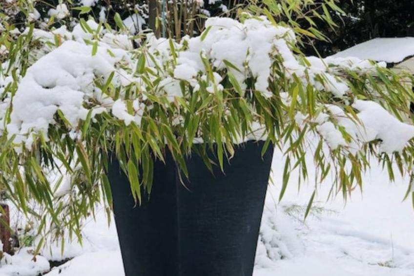 Reetdach Ferienhaus am Lübbesee Sauna Bootsteg neu - foto 42
