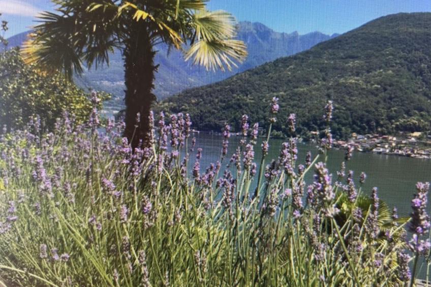 La Quercia - foto 29