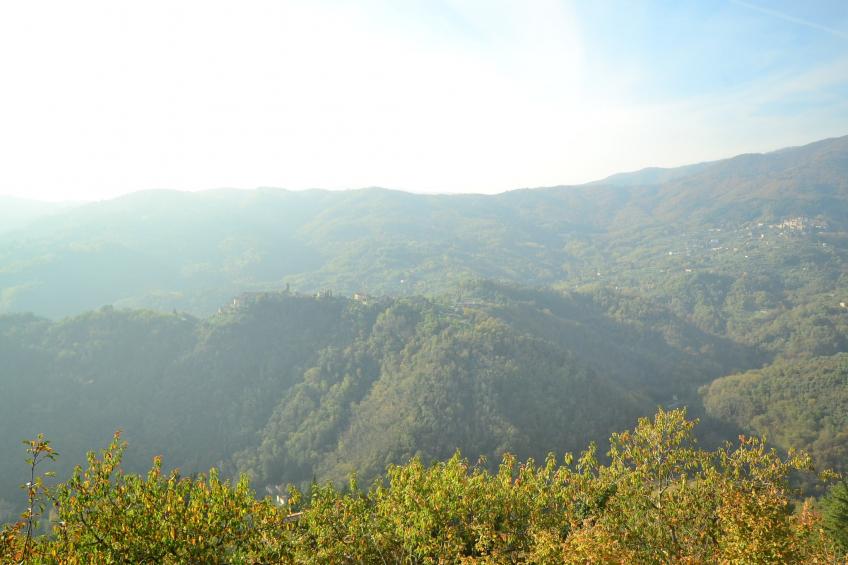 Caprioli - foto 30