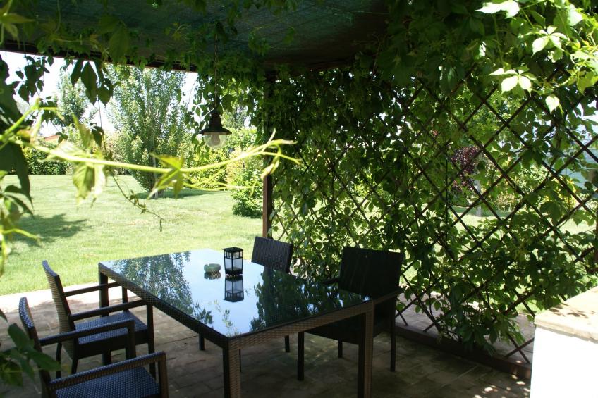 La Cantina - foto 37