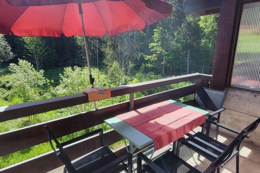 Fewo Pistenblick - foto 18