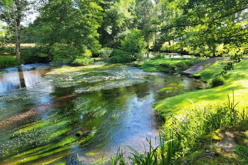 La Monestière - foto 28