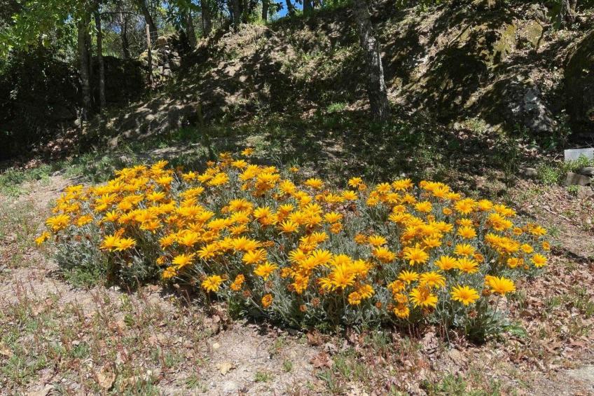 Aufenthalt in einem Naturparadies bei Alvão - foto 63
