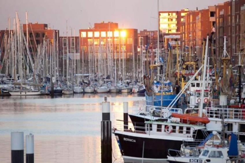 Harbour 62 - foto 29