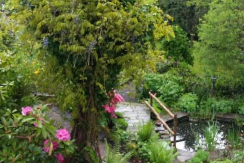 in Zendscheid mit Offenem Kamin - foto 24