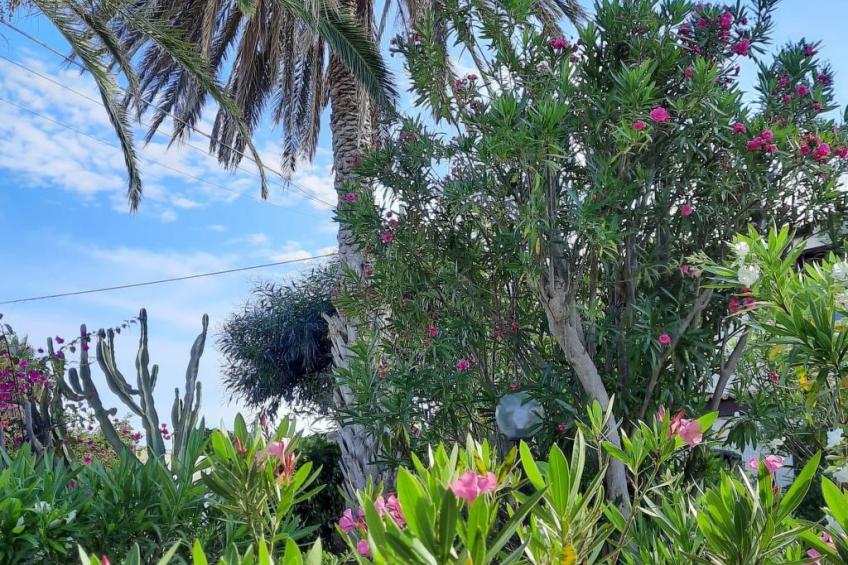 Schöner zentraler Bungalow direkt am Sandstrand auf Sizilien - foto 37