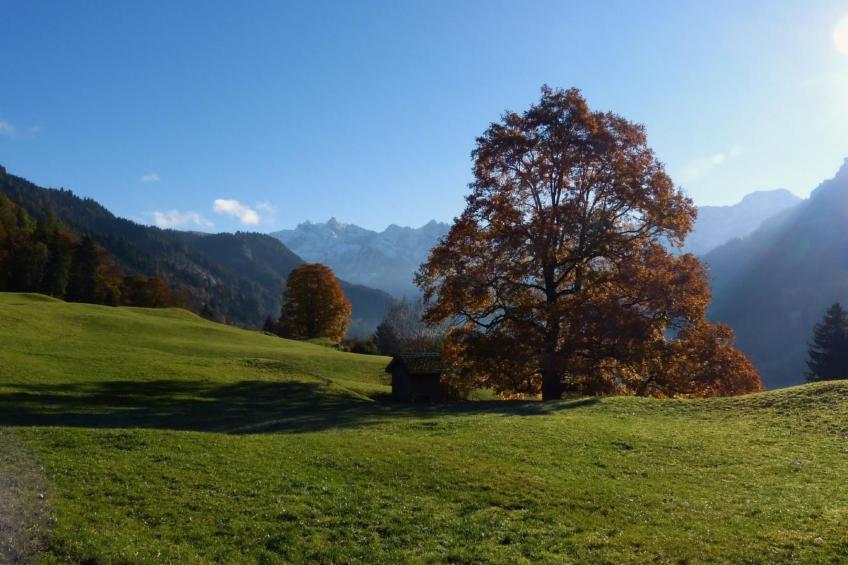 Obere Laui - foto 46