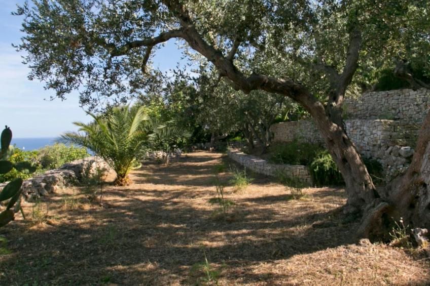 in Gagliano Del Capo mit Privatem Pool - foto 39