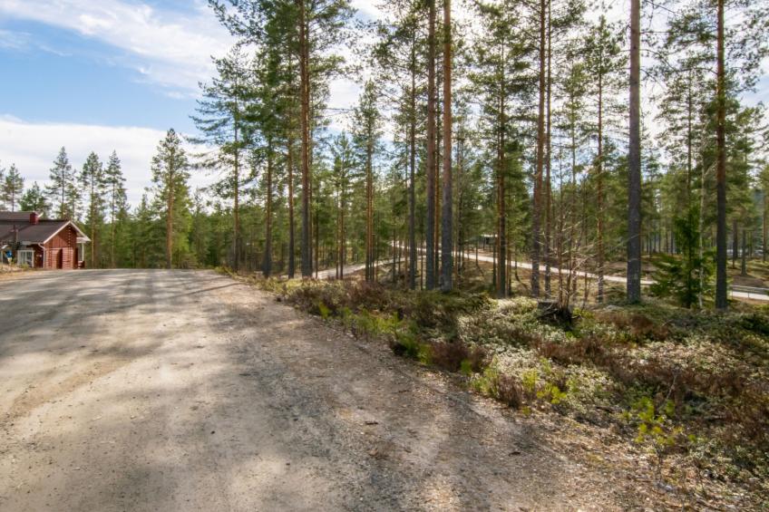 Koli country club d 14 - foto 19