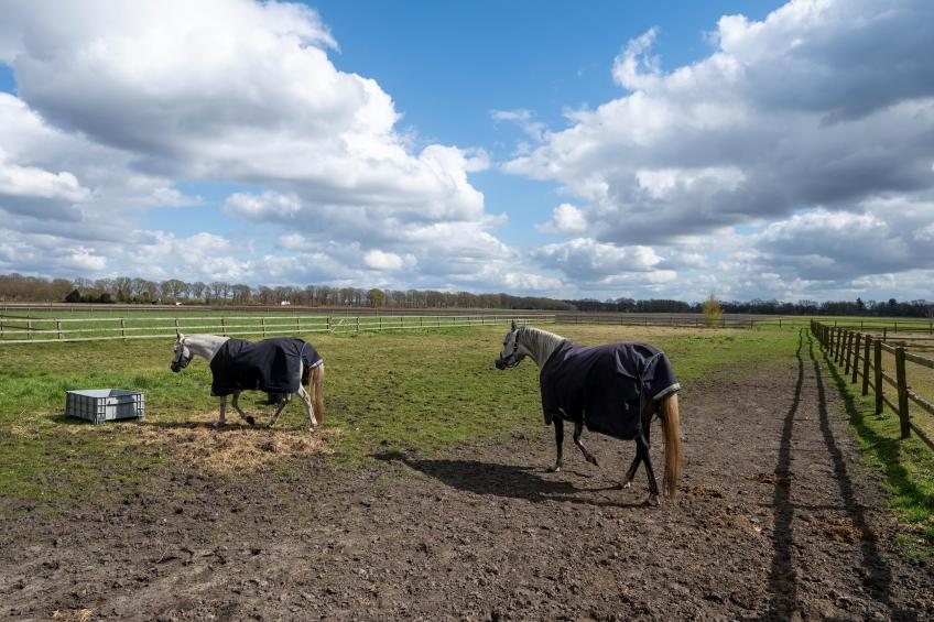 De Kibbelhoeve - foto 29