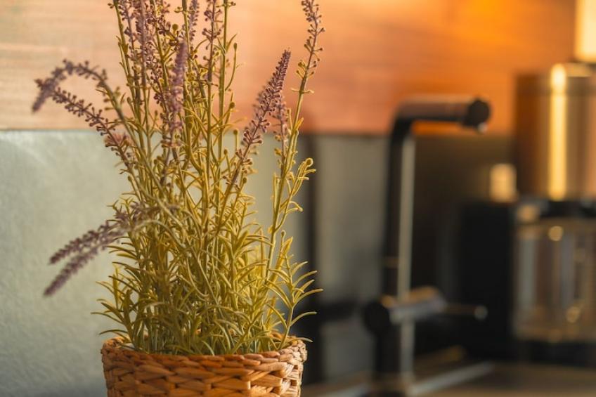 Poolhaus 140 qm|Poolhaus 140 qm - foto 40