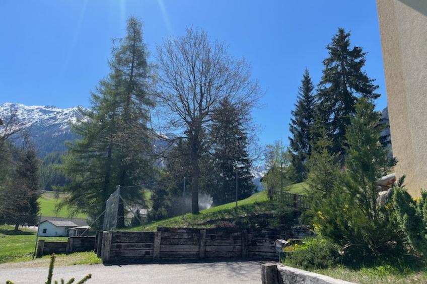 Albula B Chasa Nana, (Bergün/Bravuogn), 232 - foto 44