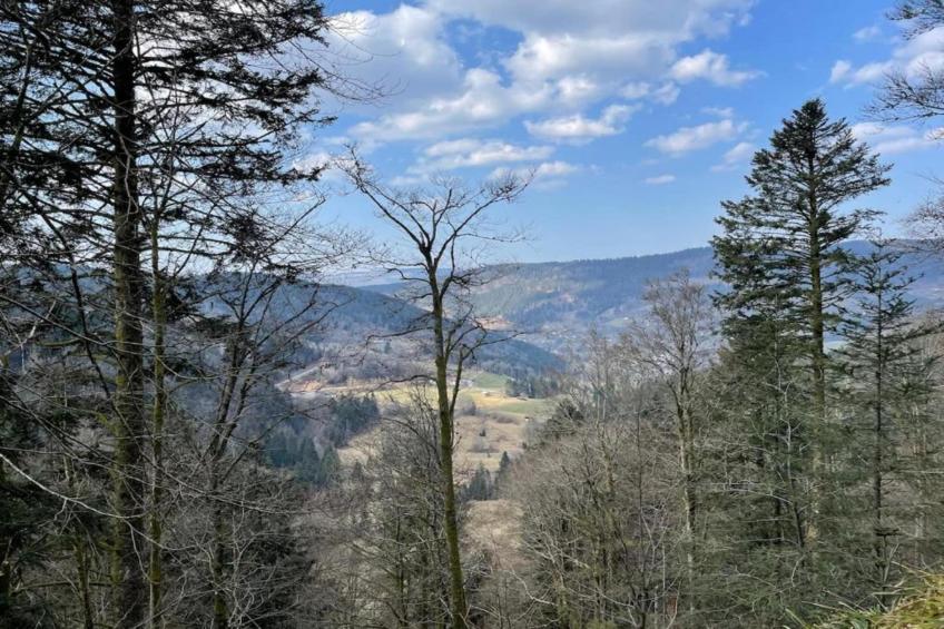 Les Raitières - foto 38