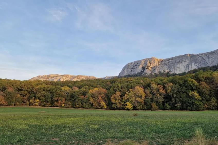 Shangri-La - foto 35