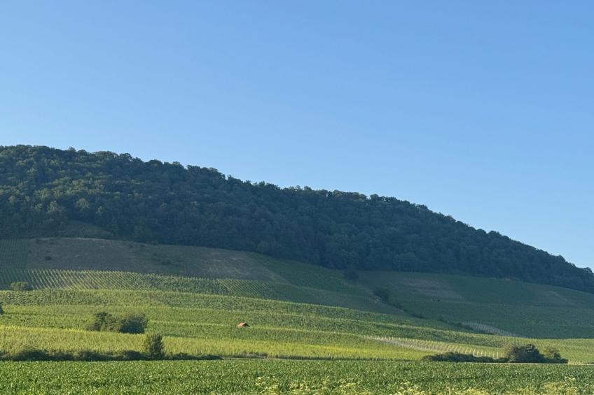 Panorama 180° - foto 24