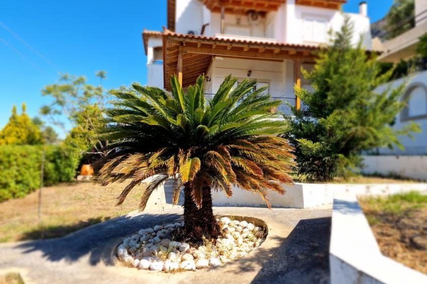 Vollständig umschlossene und großzügig angelegte dreistöckige Ferienvilla mit f - foto 4