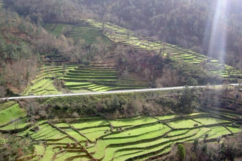 "Großvaters Häuschen" mit Kamin - foto 14