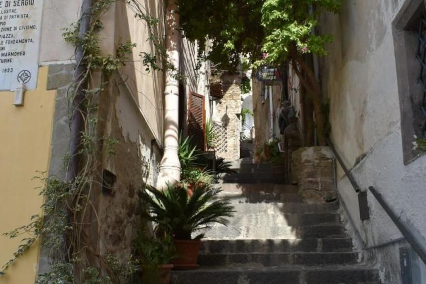 Schöne Ferienwohnug - foto 37