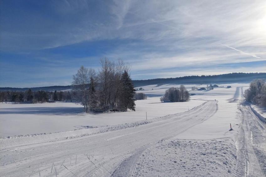 Wohnung in altem, renoviertem Bauernhaus - foto 53