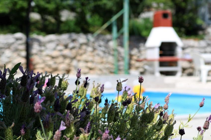 Luxury Lovran Apartments with Swimming Pool - Standard One Bedroom Apartment - foto 23