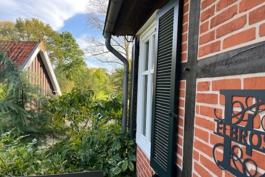 Haus Elbrose inmitten von Rosen mit Elbdeichzugang - foto 6